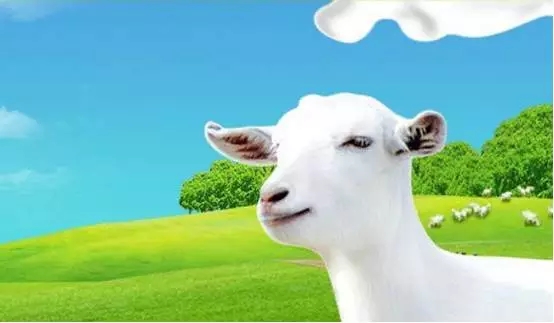 龙8头号玩家(国际)官方网站