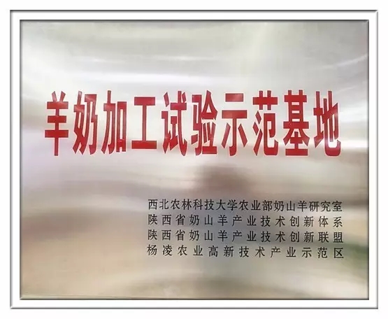 龙8头号玩家(国际)官方网站