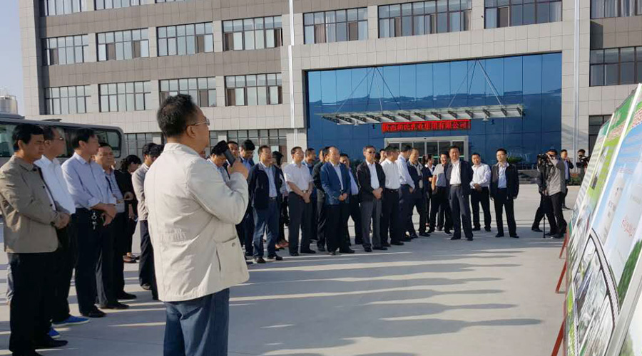 龙8头号玩家(国际)官方网站