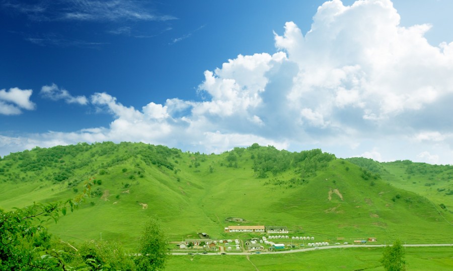 龙8头号玩家(国际)官方网站