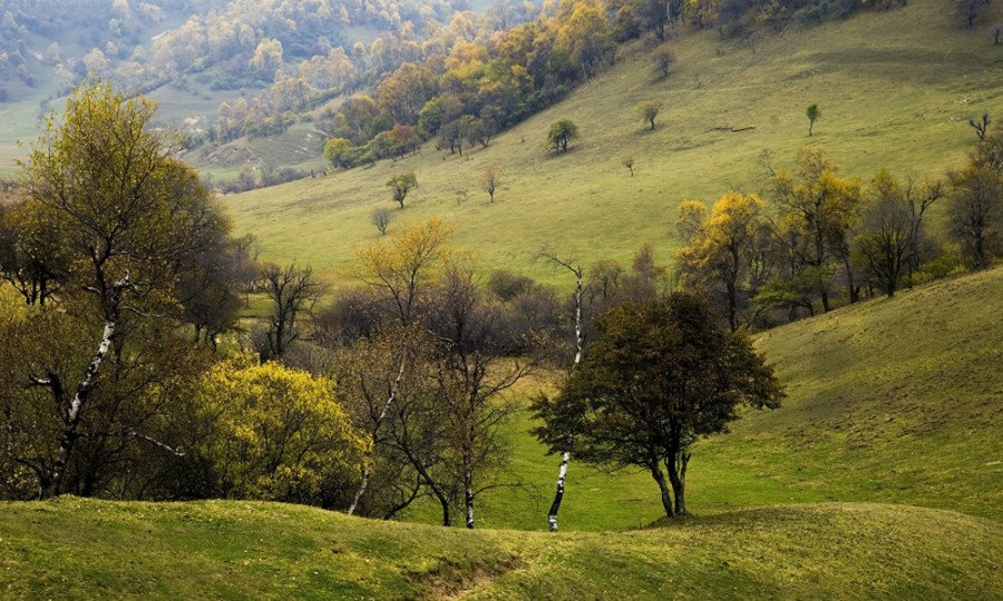 龙8头号玩家(国际)官方网站