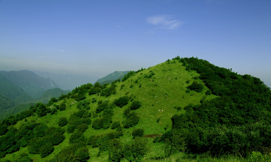 龙8头号玩家(国际)官方网站