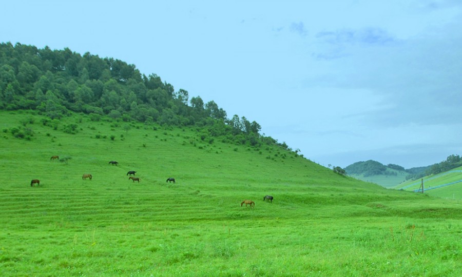 龙8头号玩家(国际)官方网站