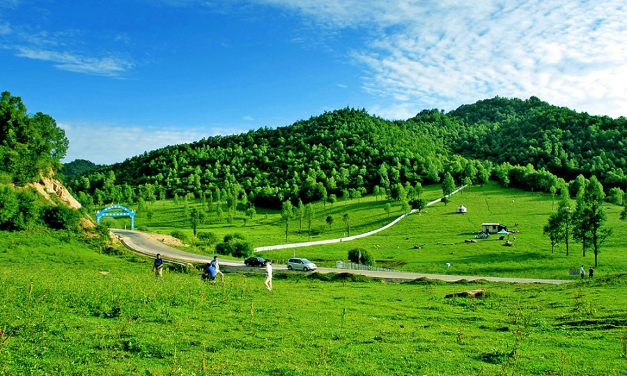 龙8头号玩家(国际)官方网站