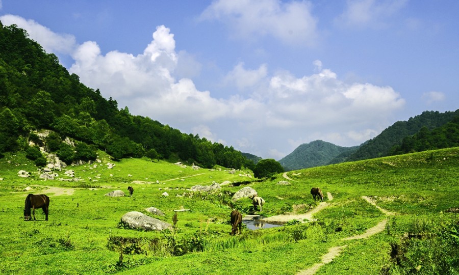 龙8头号玩家(国际)官方网站