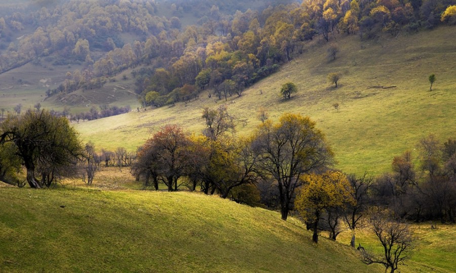龙8头号玩家(国际)官方网站