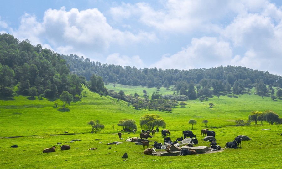 龙8头号玩家(国际)官方网站
