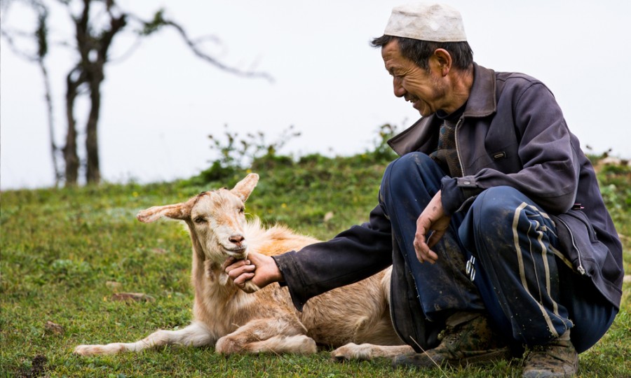 龙8头号玩家(国际)官方网站