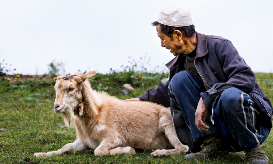 龙8头号玩家(国际)官方网站