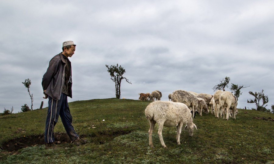 龙8头号玩家(国际)官方网站