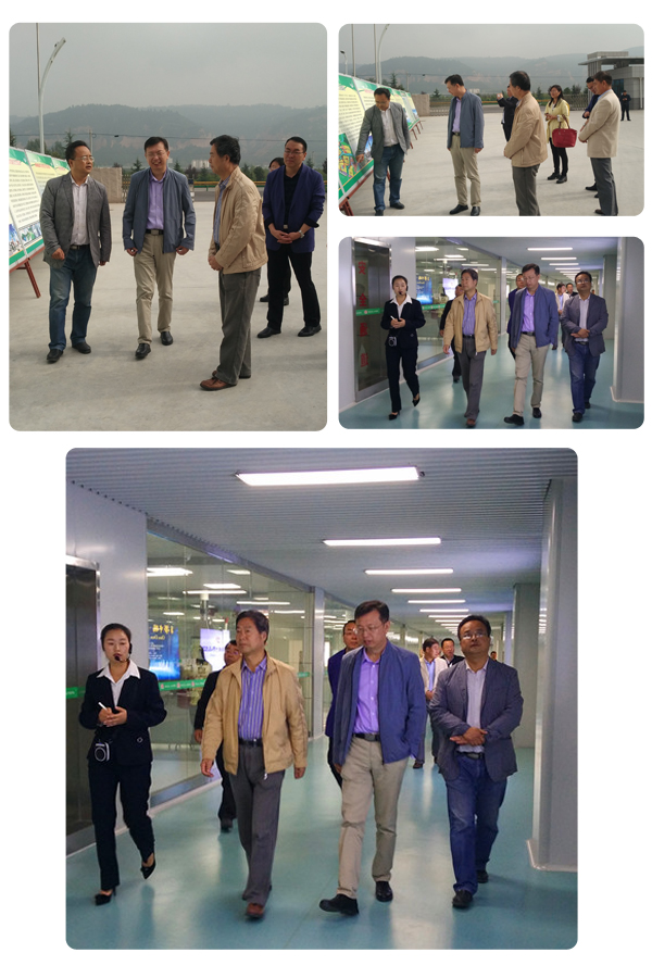 龙8头号玩家(国际)官方网站