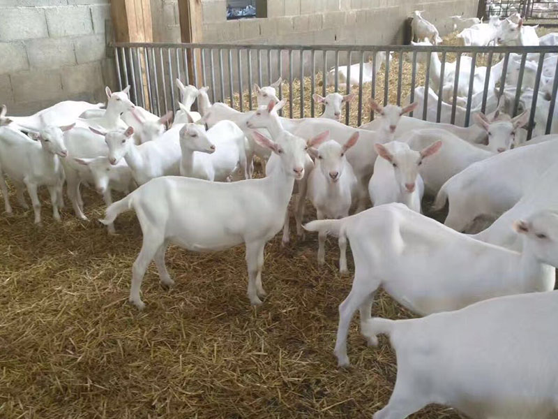 龙8头号玩家(国际)官方网站