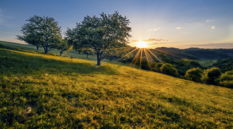 龙8头号玩家(国际)官方网站