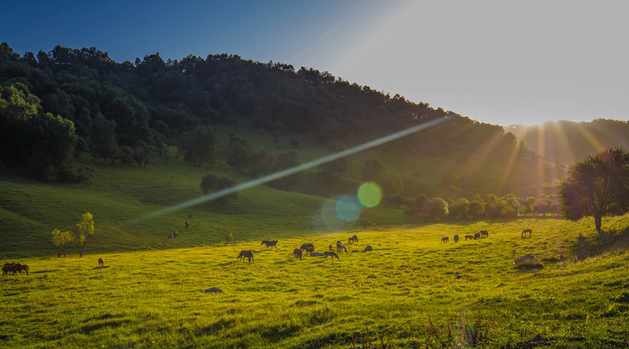 龙8头号玩家(国际)官方网站