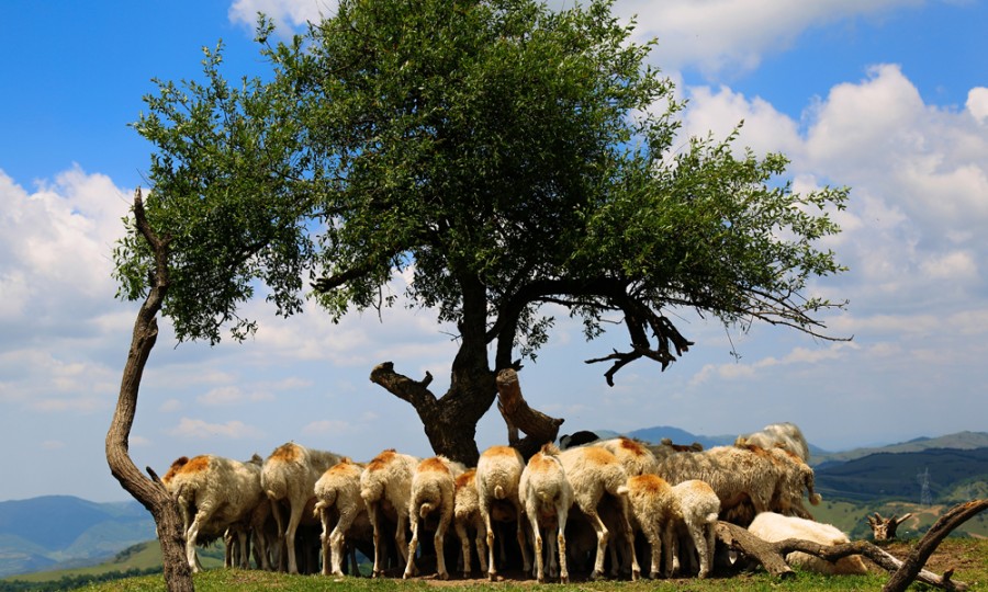 龙8头号玩家(国际)官方网站