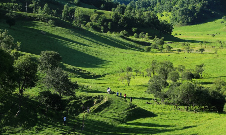 龙8头号玩家(国际)官方网站