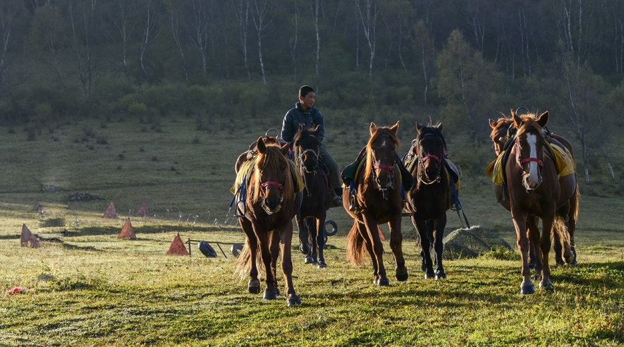 龙8头号玩家(国际)官方网站
