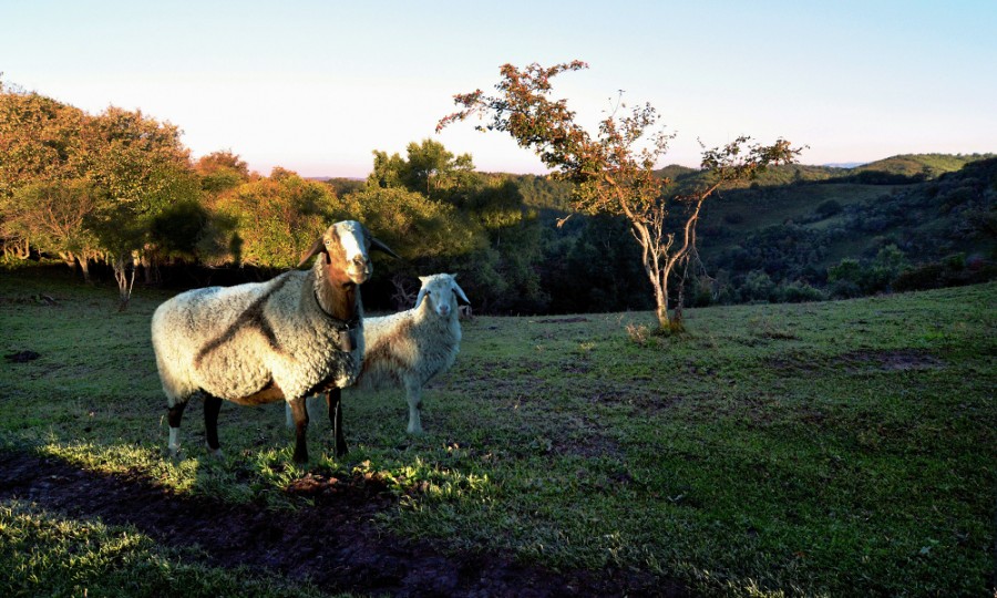 龙8头号玩家(国际)官方网站