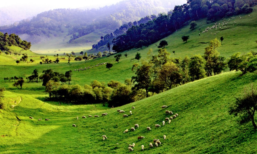 龙8头号玩家(国际)官方网站