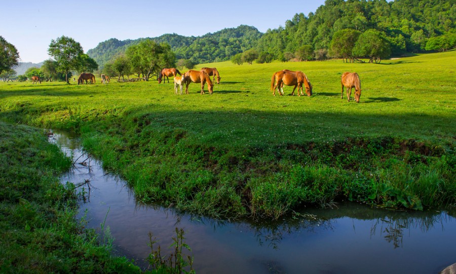 龙8头号玩家(国际)官方网站