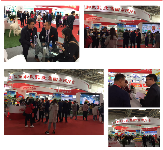 龙8头号玩家(国际)官方网站