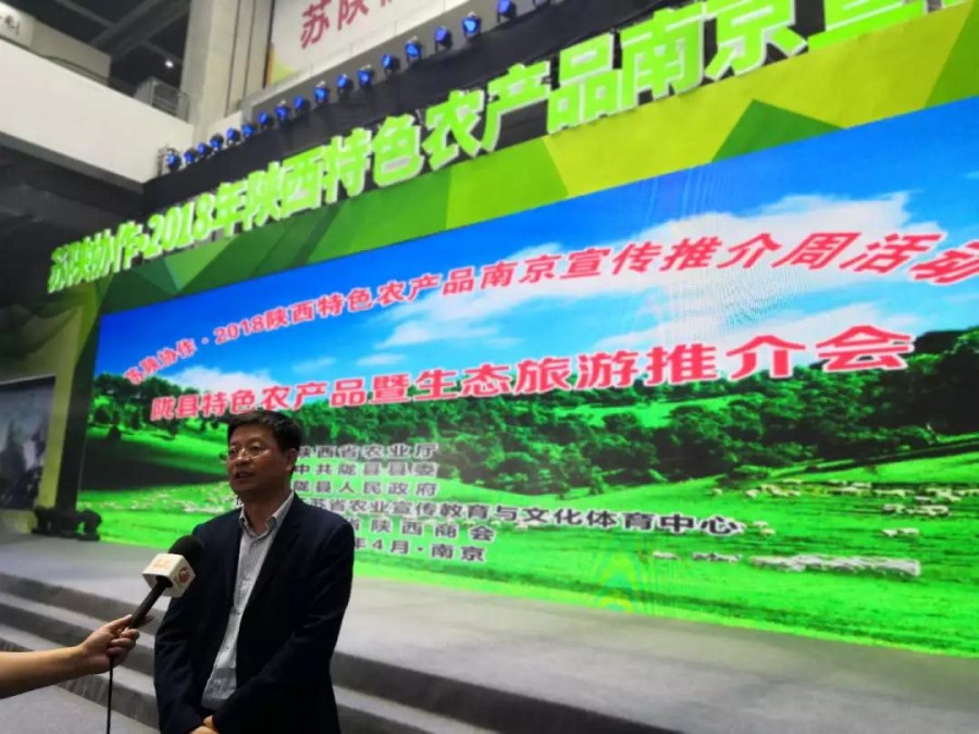 龙8头号玩家(国际)官方网站