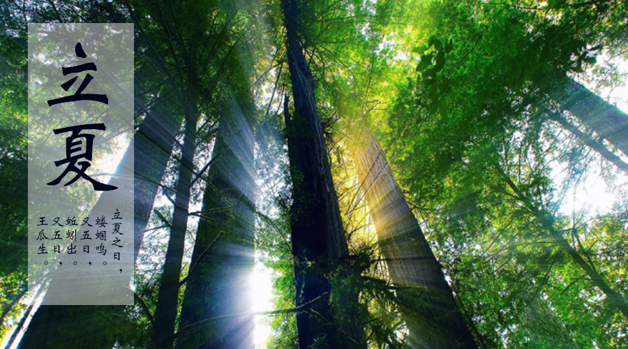 龙8头号玩家(国际)官方网站