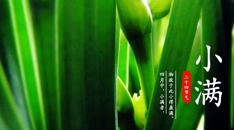 龙8头号玩家(国际)官方网站