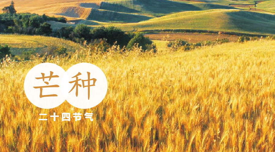 龙8头号玩家(国际)官方网站