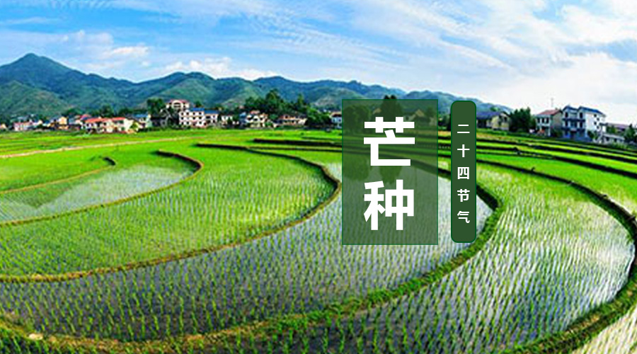 龙8头号玩家(国际)官方网站