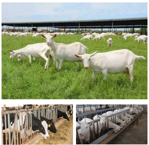 龙8头号玩家(国际)官方网站