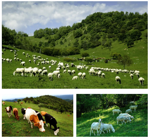 龙8头号玩家(国际)官方网站