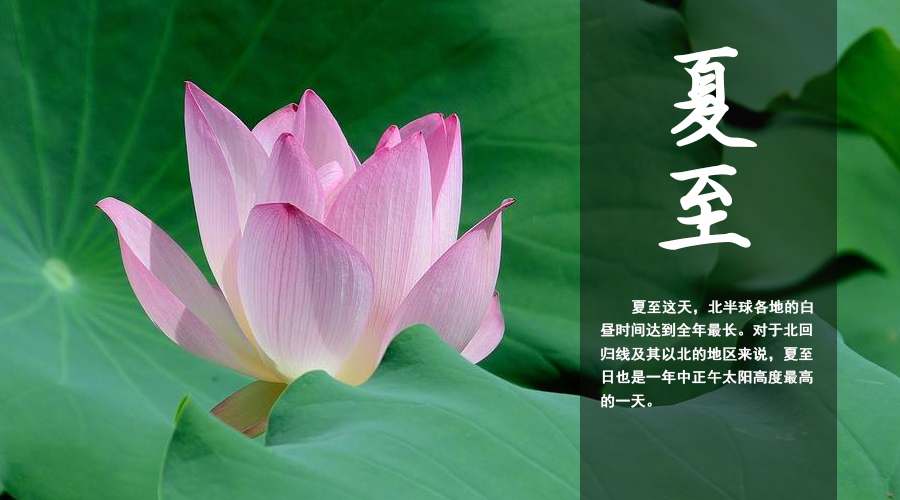 龙8头号玩家(国际)官方网站