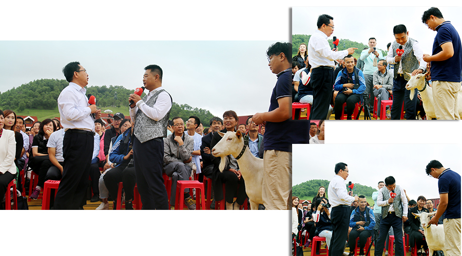 龙8头号玩家(国际)官方网站