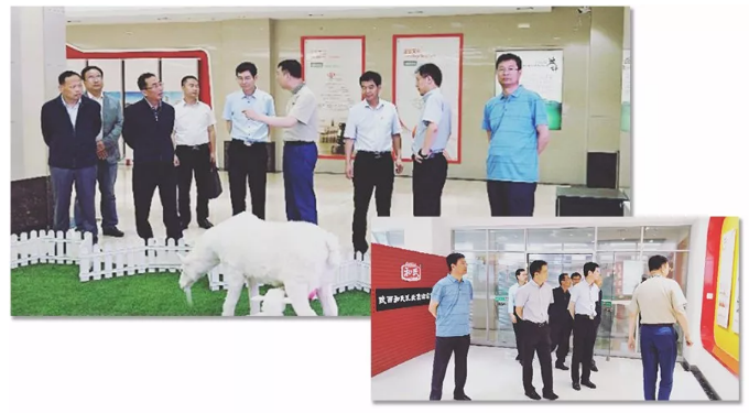 龙8头号玩家(国际)官方网站