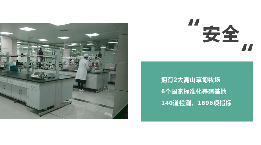 龙8头号玩家(国际)官方网站