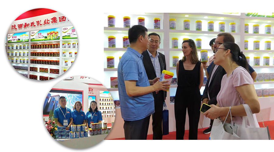 龙8头号玩家(国际)官方网站