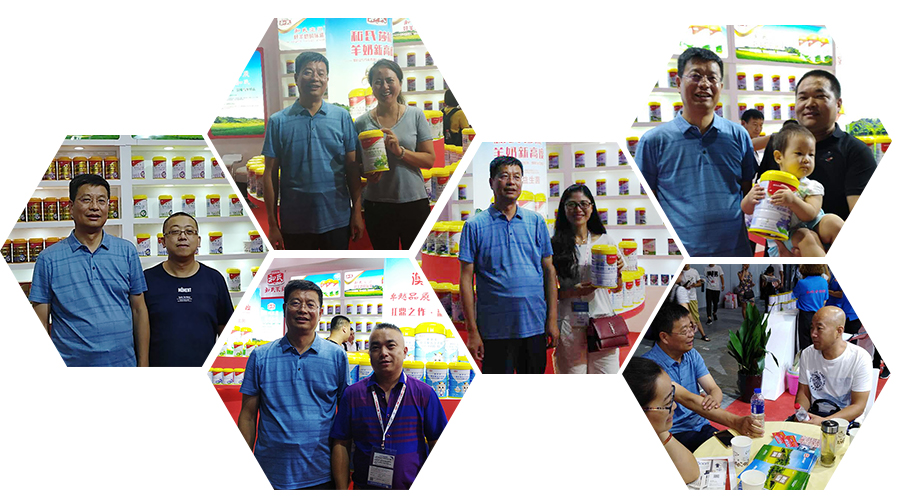 龙8头号玩家(国际)官方网站