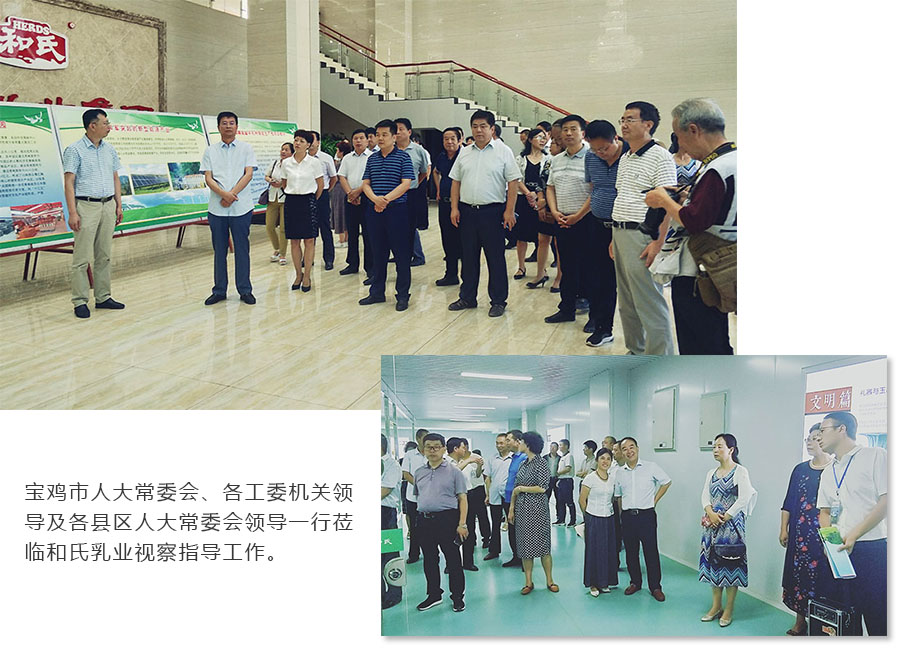 龙8头号玩家(国际)官方网站