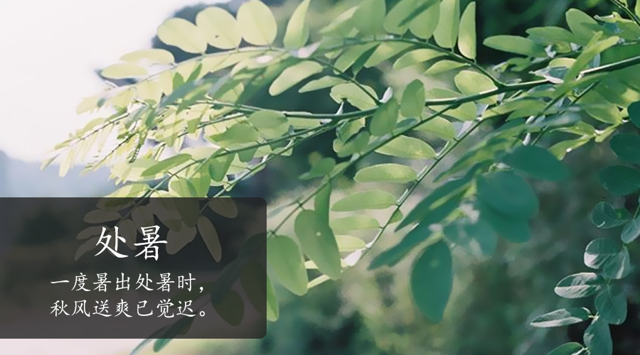 龙8头号玩家(国际)官方网站