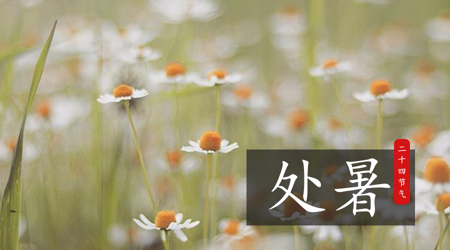 龙8头号玩家(国际)官方网站