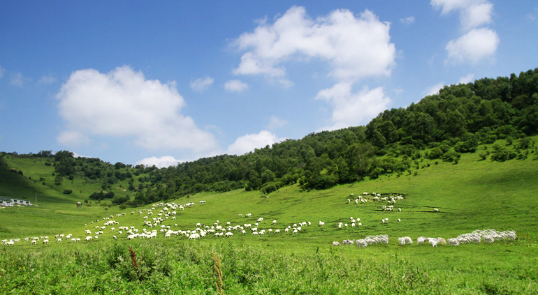 龙8头号玩家(国际)官方网站