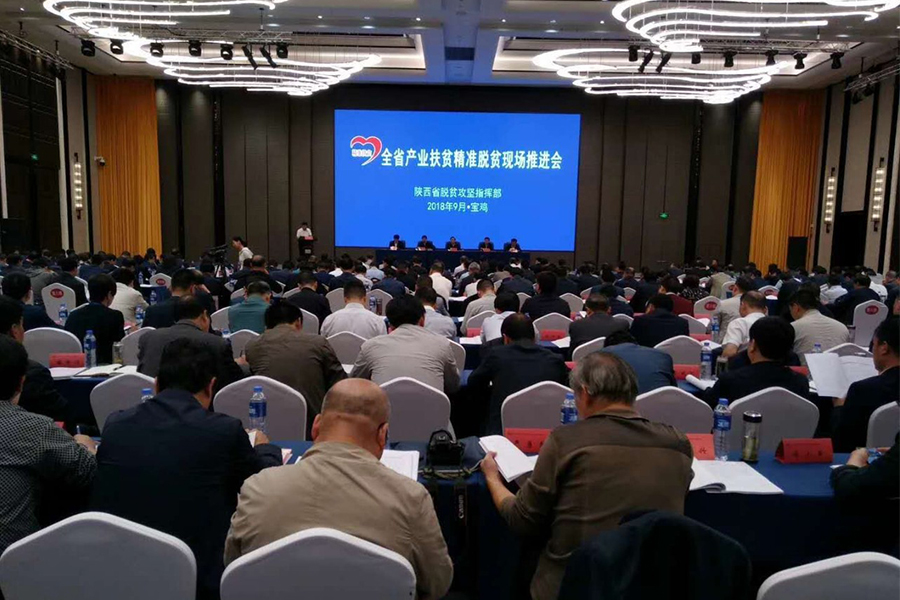 龙8头号玩家(国际)官方网站