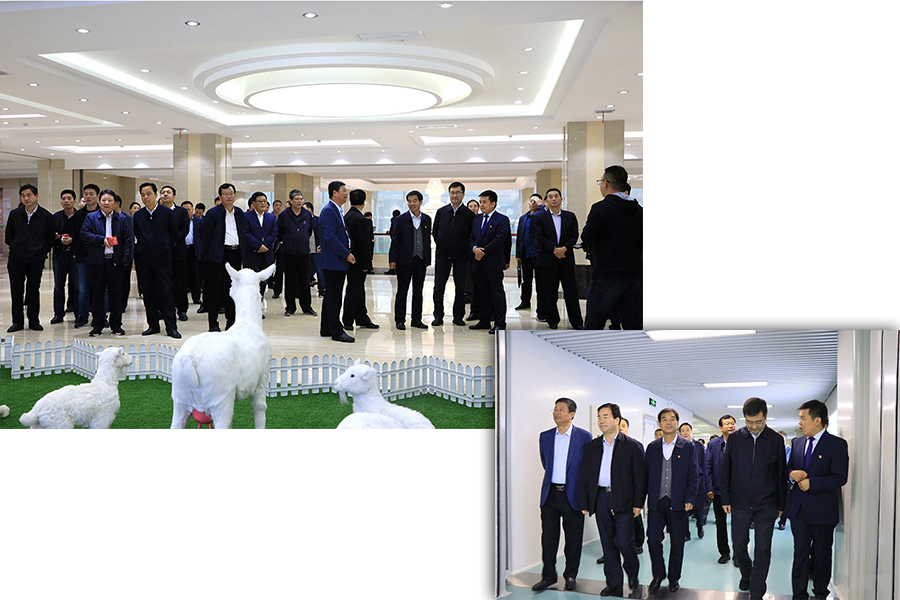 龙8头号玩家(国际)官方网站