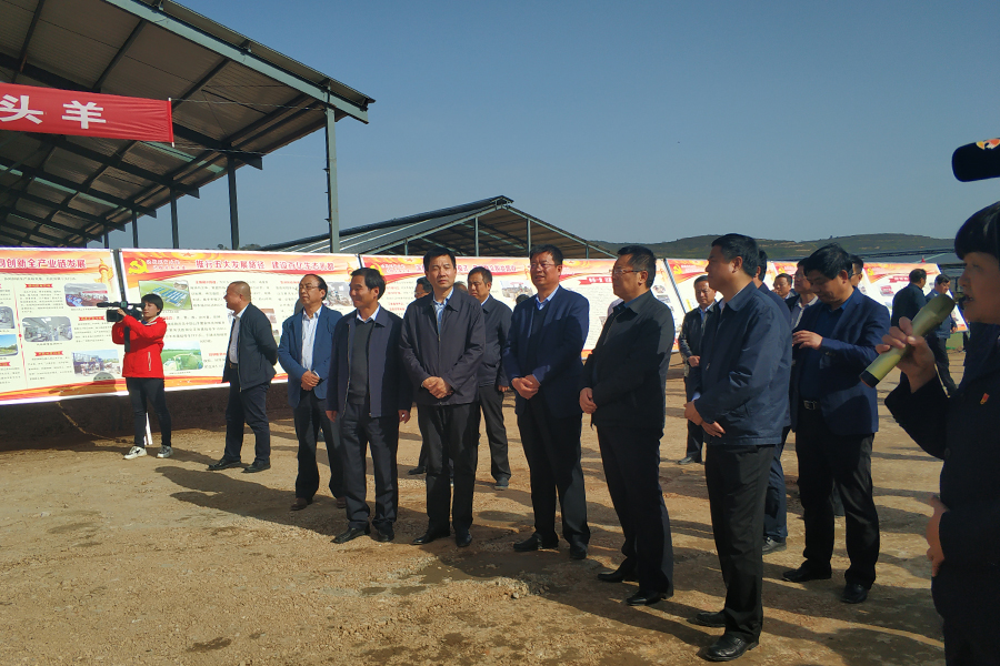 龙8头号玩家(国际)官方网站