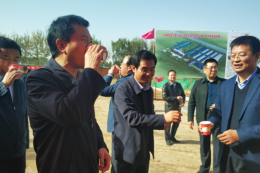 龙8头号玩家(国际)官方网站