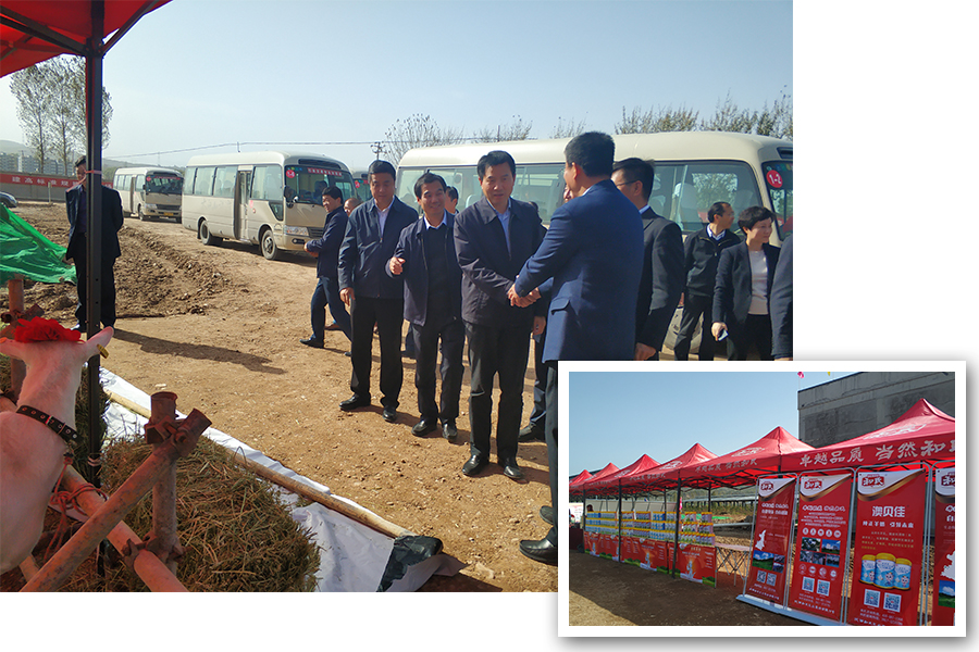 龙8头号玩家(国际)官方网站