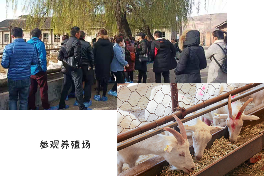 龙8头号玩家(国际)官方网站