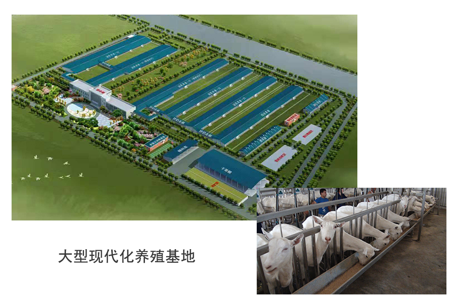 龙8头号玩家(国际)官方网站