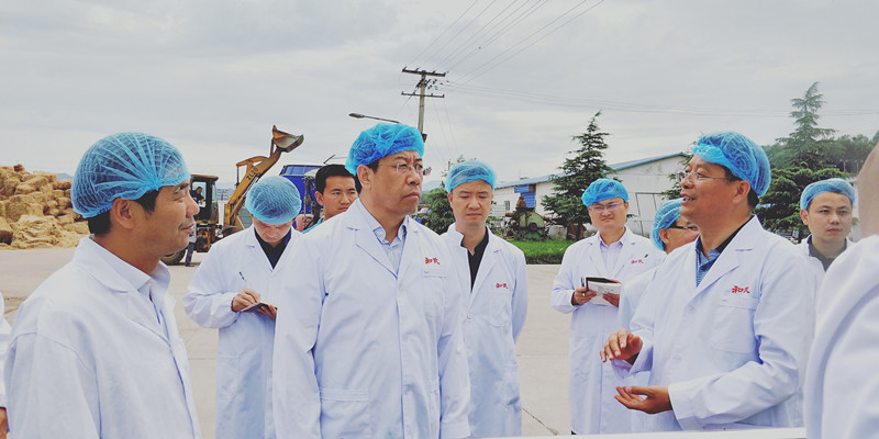 龙8头号玩家(国际)官方网站